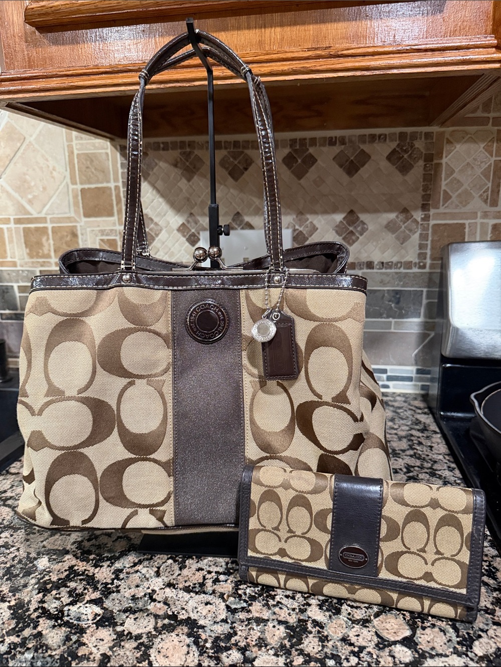 Coach Signature Stripe Frame Carryall and Wallet in Brown